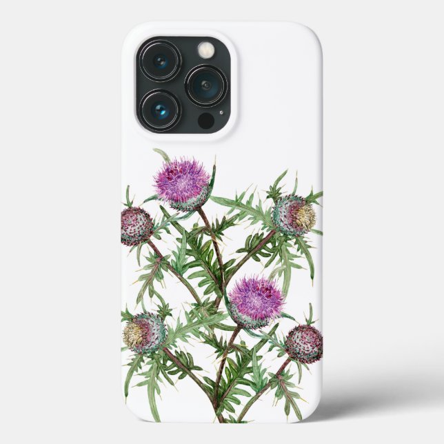 flores de violeta cardo  (Verso)
