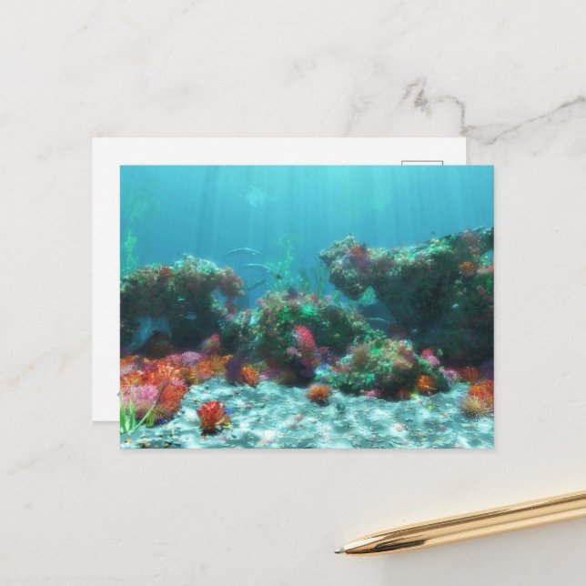 Flores do cartão postal marítimo (Frente/Verso In Situ)