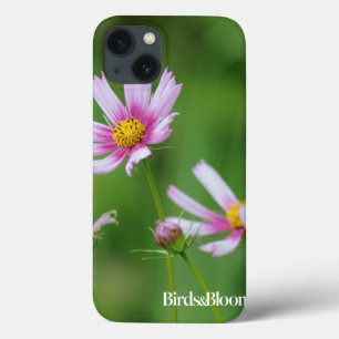 Flores do cosmos