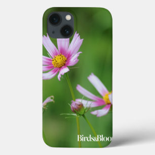 Flores do cosmos