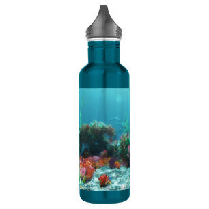 Flores do Garrafa de Água do Mar