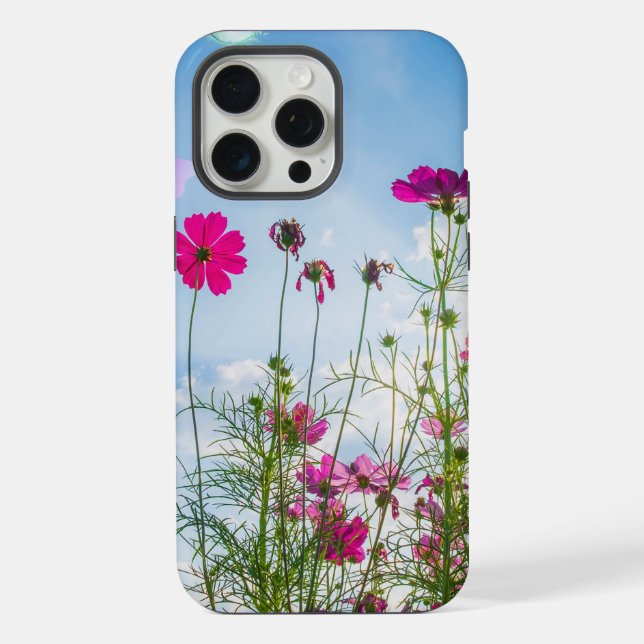 flores e borboletas de primavera (Verso)