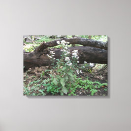 Flores e Impressão de Canvas de de  de Log