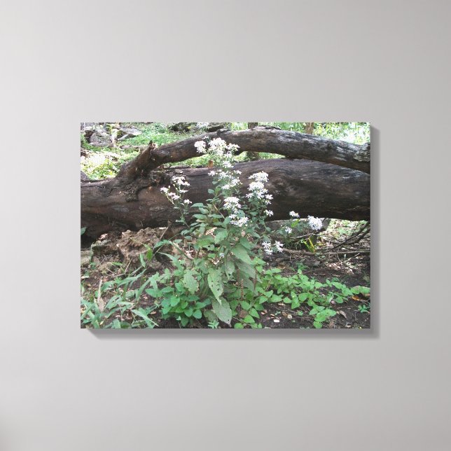 Flores e Impressão de Canvas de de  de Log (Frente)