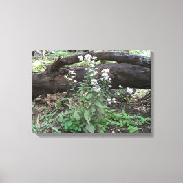 Flores e Impressão de Canvas de de  de Log
