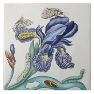 flores e insetos de vintage, azulejo de cerâmica