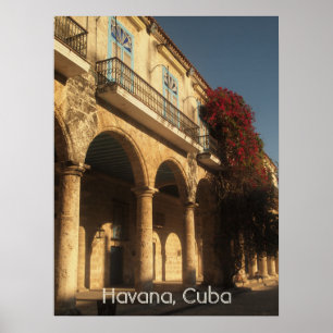 Flores em Plaza de la Catedral, poster de Havana