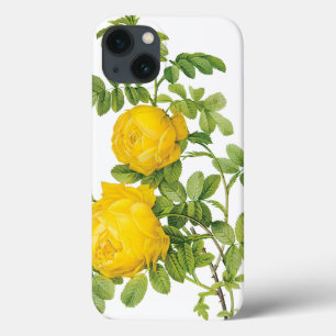 Flores florais do vintage, rosas amarelos por