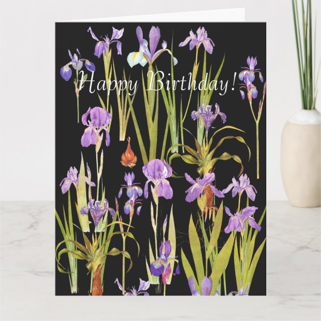 Flores Floral Botânica Iris Grande Cartão de Anive (Frente)