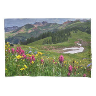 Flores Flores selvagens Durango, Colorado