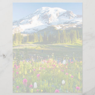 Flores Flores Silvestres do Mt. Rainier