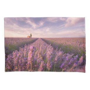 Flores França Lavanda do Sul