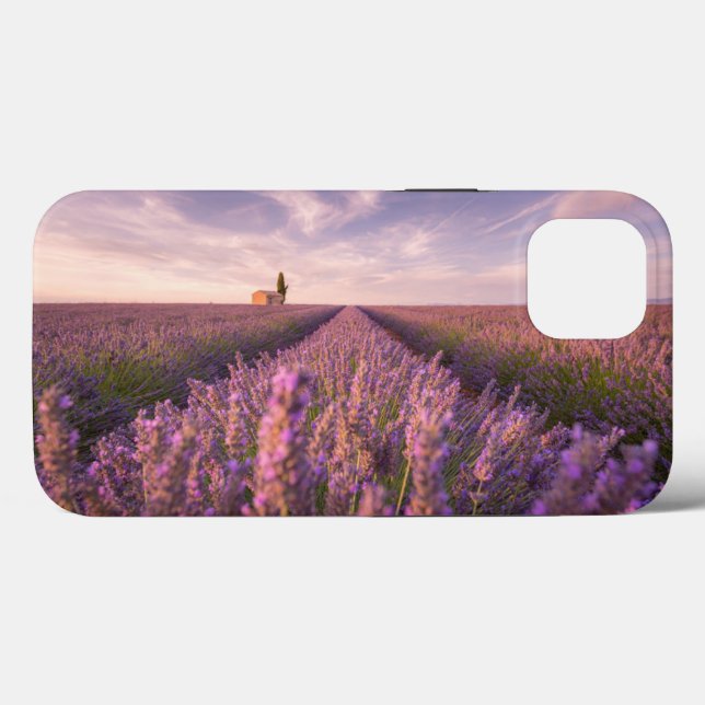 Flores | França Lavanda do Sul (Verso (horizontal))