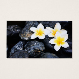 Flores Frangipani