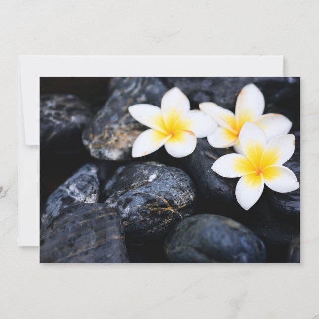 Flores Frangipani (Frente)