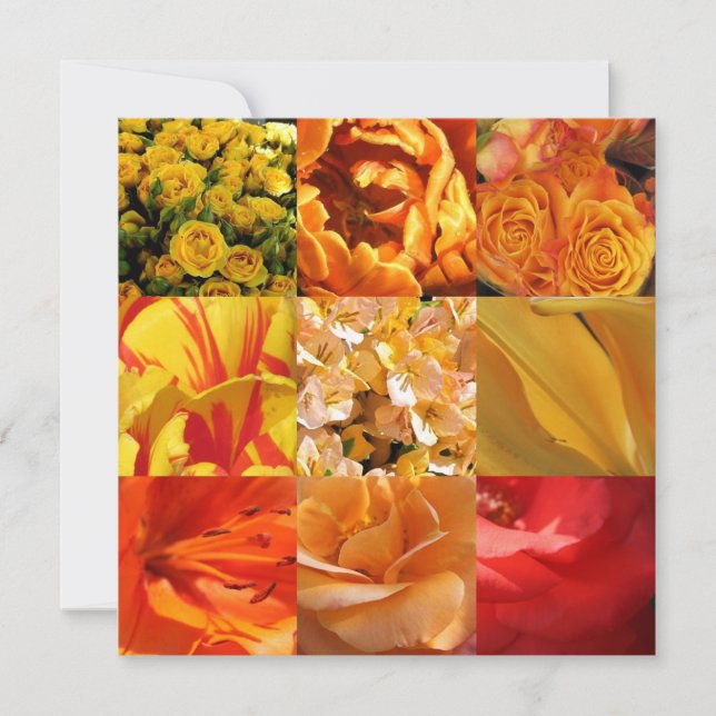 Flores laranja e amarelas (Frente)