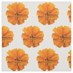 Flores Laranja Marigold no Tecido Branco