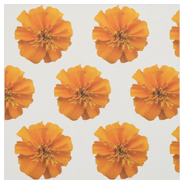 Flores Laranja Marigold no Tecido Branco (Modelo)