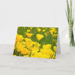 Flores Laranja-Picadas Cartões de Saudação Persona