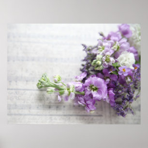 flores lavanda-coloridas no poster velho da músic