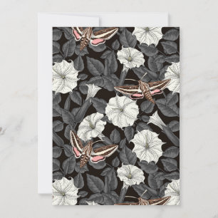 Flores-lua e mariposas-esfinge 2