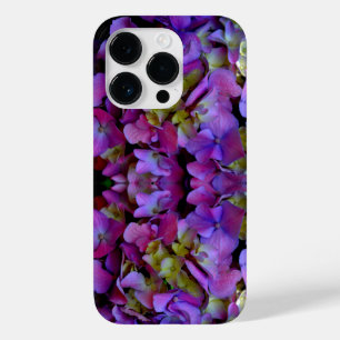 Flores magenta púrpura azul-híbrido Elegante