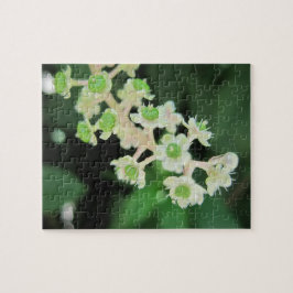 Flores minúsculas que relaxam o quebra-cabeça de