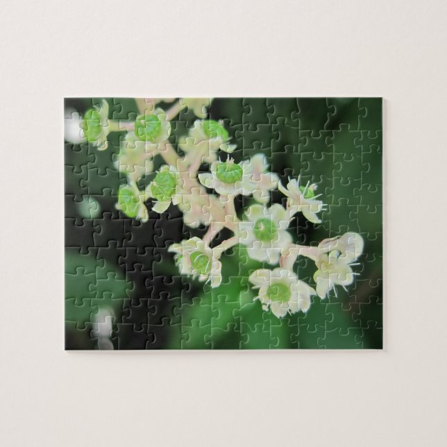 Flores minúsculas que relaxam o quebra-cabeça de (Horizontal)