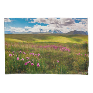 Flores Montanhas Altai, Sibéria, Rússia