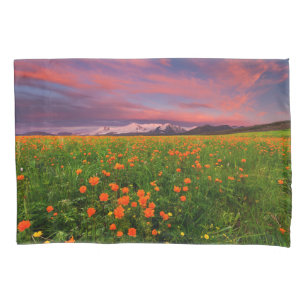Flores Montanhas com paisagens de flores silvest