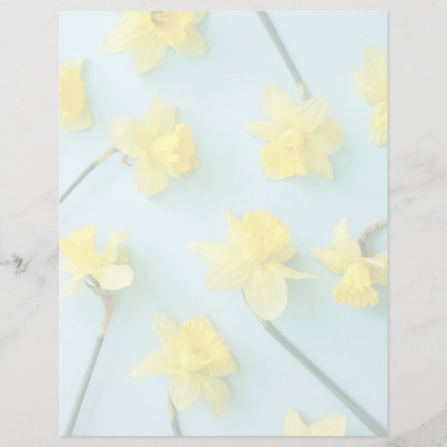 Flores | Narcisos Amarelos (Frente)