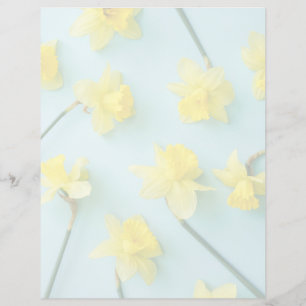 Flores Narcisos Amarelos