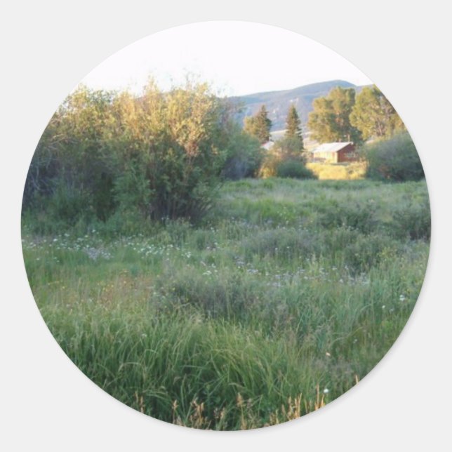 flores no adesivo do Colorado (Frente)