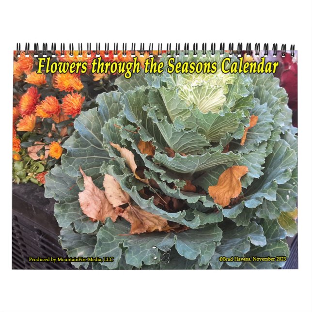 Flores no Calendário das Sessões! (Capa)