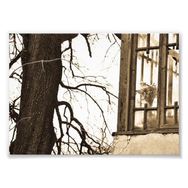 Flores no Impressão de Fotos da Antiga Casa (Frente)