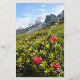 Flores nos Alpes - Bonita!