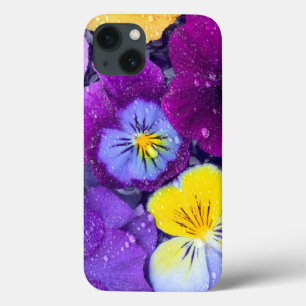 Flores pansas flutuando em banho de pássaros com 