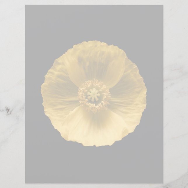 Flores | Papoila amarela (Frente)