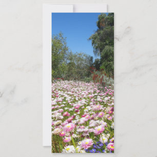 Flores permanentes