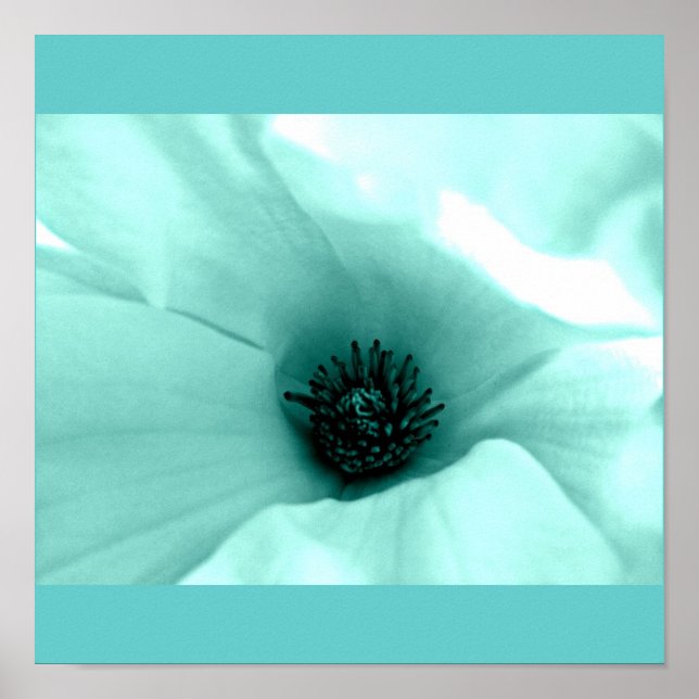 Flores Pintadas por poster 4 (Frente)