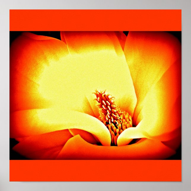 Flores Pintadas por poster 9 (Frente)