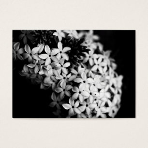 flores preto e branco