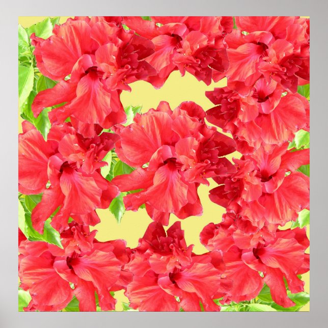 Flores Red Hibiscus Poster (Frente)