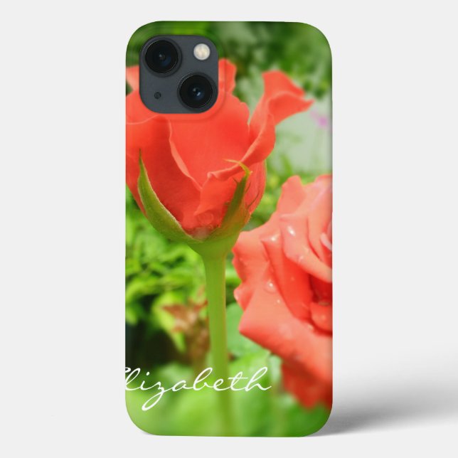 Flores Românticas de Rosa (Verso)