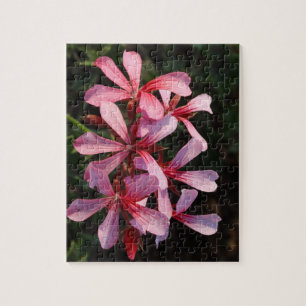 Flores Rosa 8x10 Quebra-cabeça de Fotografia com C