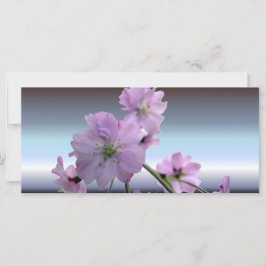 Flores Rosa, Flores de Cereja