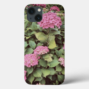 Flores Rosa Foto Apple iPhone 7, Tough Xtreme
