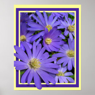 Flores Roxas Impressão Blue Daisies Art Poster