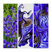 Flores Roxas Iris / Fotografias /