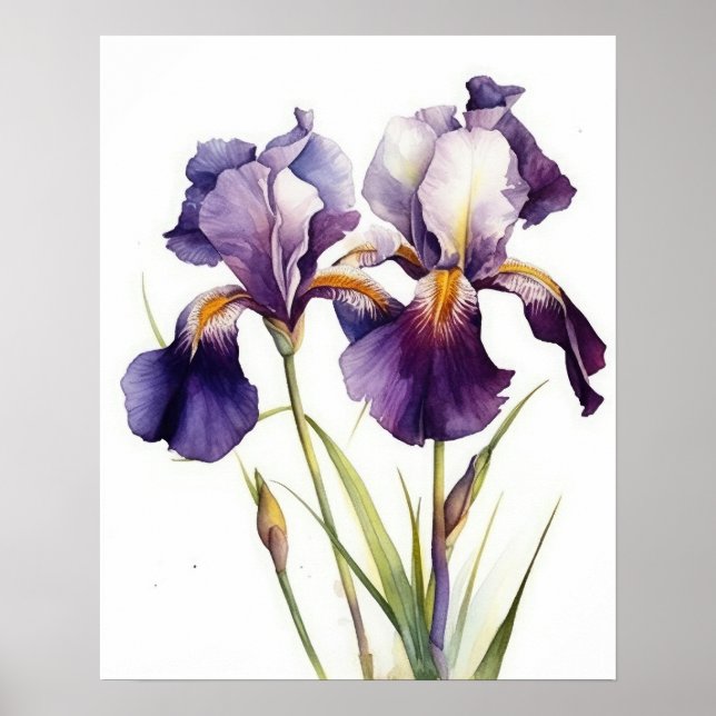 Flores Roxas Iris Impressão (Frente)